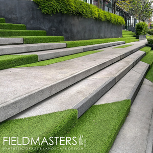 Fieldmasters grass on steps